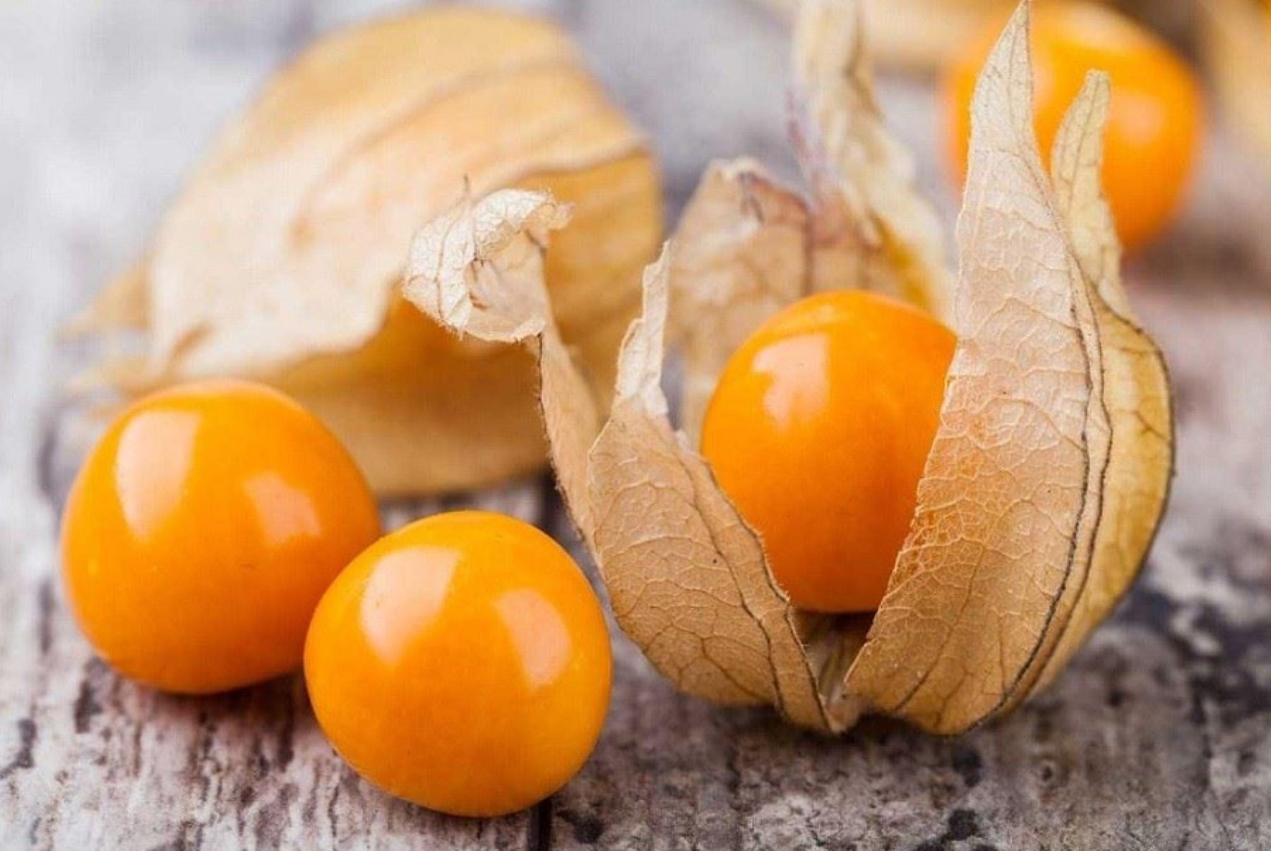 7NRSDIMU4ZDKRDYZYKI47Q5ULA